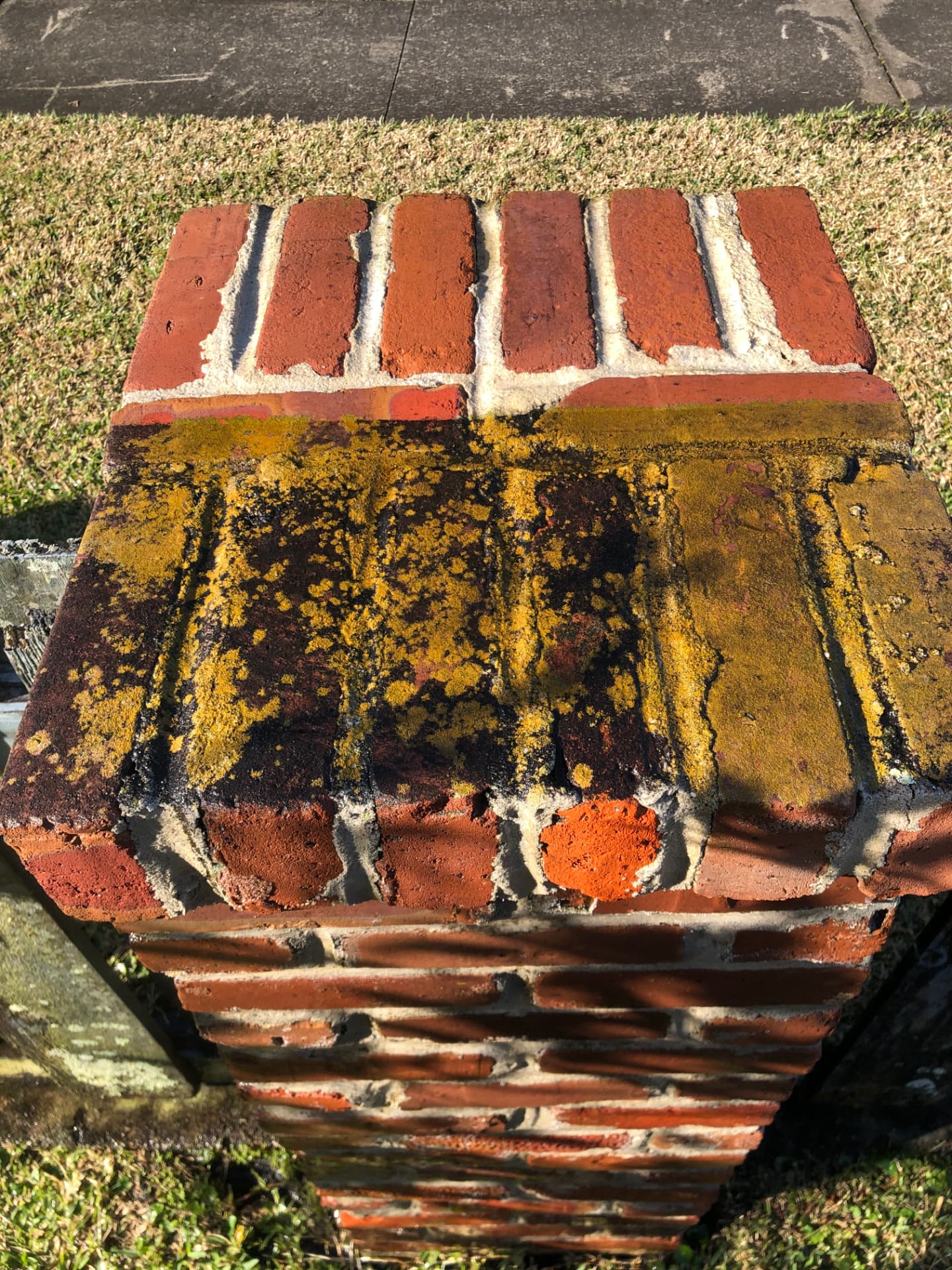 Brick mailbox column mid-clean, moss and algae stripped off the top courses